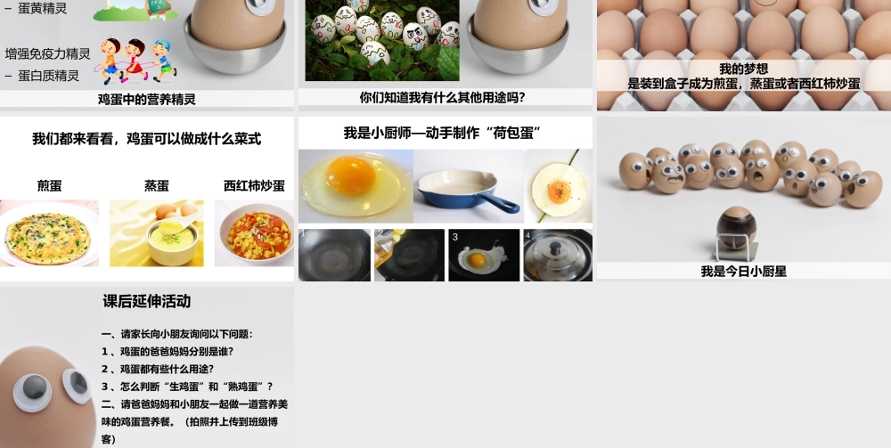 大班综合《一个鸡蛋的故事》微课件.pptx
