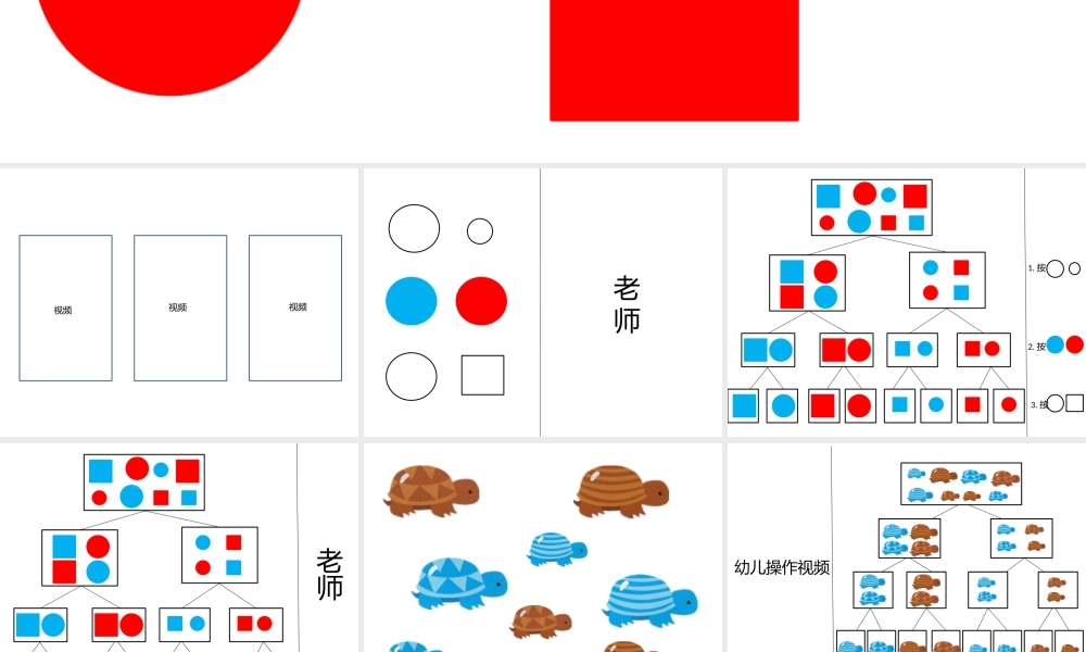 大班科学《层级分类》微课件.pptx