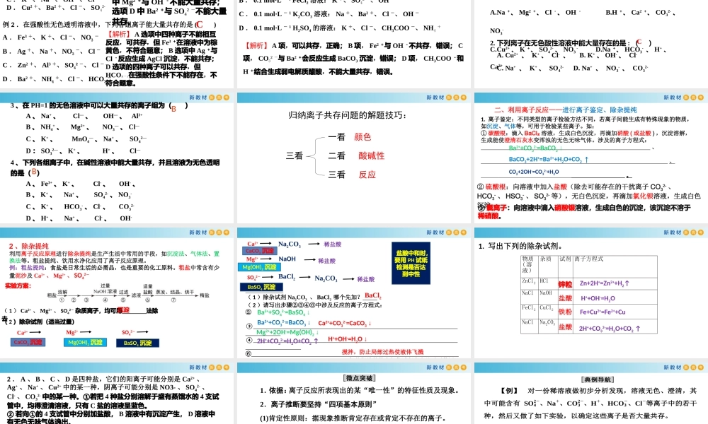 1.2.4 离子反应的应用（教学课件）- 高一化学同步教学课堂（人教版2019必修第一册）.pptx