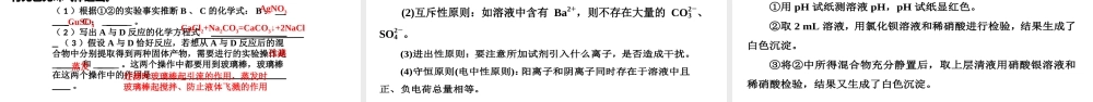 1.2.4 离子反应的应用（教学课件）- 高一化学同步教学课堂（人教版2019必修第一册）.pptx