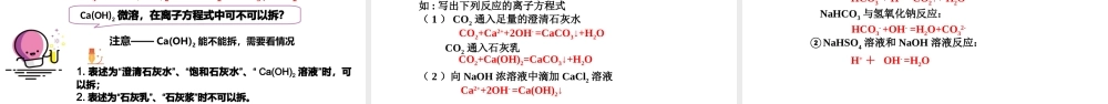1.2.2 离子反应及其表示法（教学课件）- 高一化学同步教学课堂（人教版2019必修第一册）.pptx