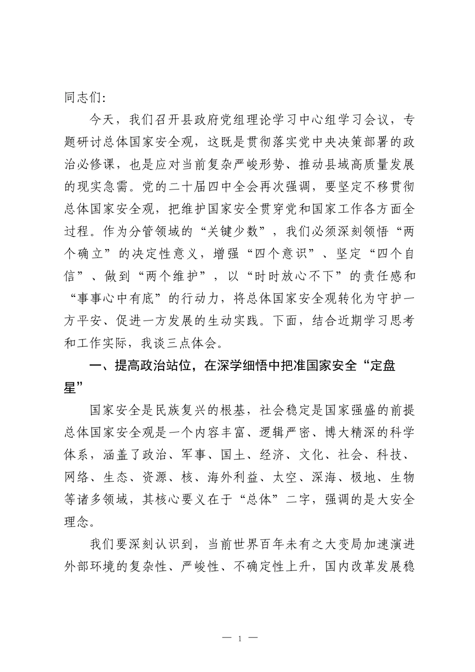 在县政府党组理论学习中心组专题学习总体国家安全观研讨会上的发言.docx_第1页