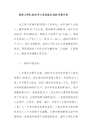 驻村工作队2019年工作总结及2020年度计划.docx