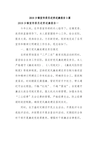 2019乡镇宣传委员述责述廉报告3篇.docx