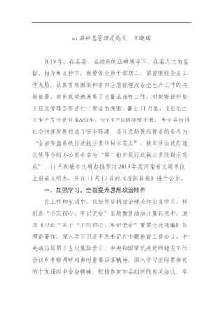2019应急管理局局长述职报告.docx