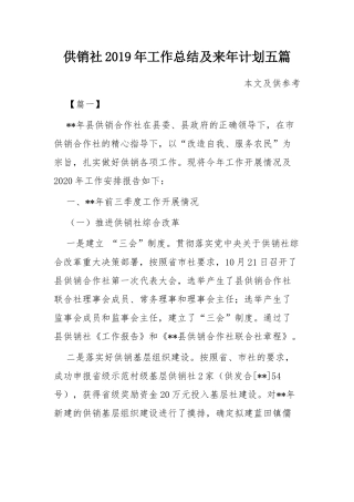 供销社2019年工作总结及来年计划五篇.docx
