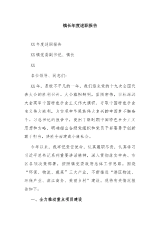 镇长年度述职报告.docx