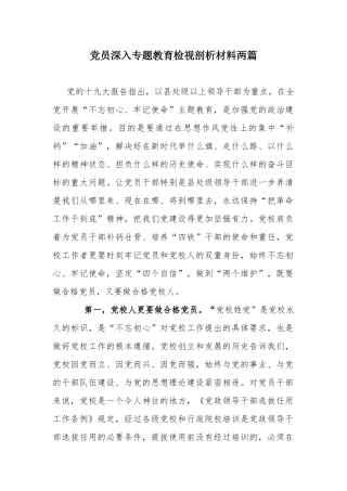 党员深入专题教育检视剖析材料两篇.docx