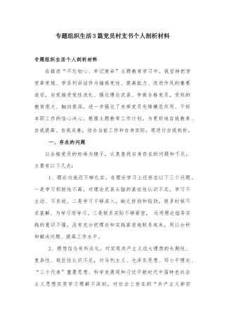 专题组织生活3篇党员村支书个人剖析材料.docx