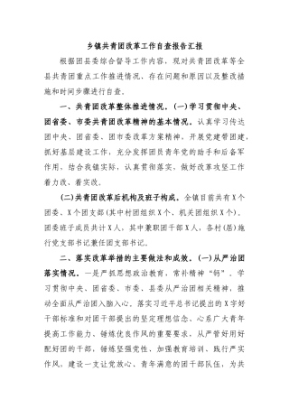 乡镇共青团改革工作自查报告汇报.docx