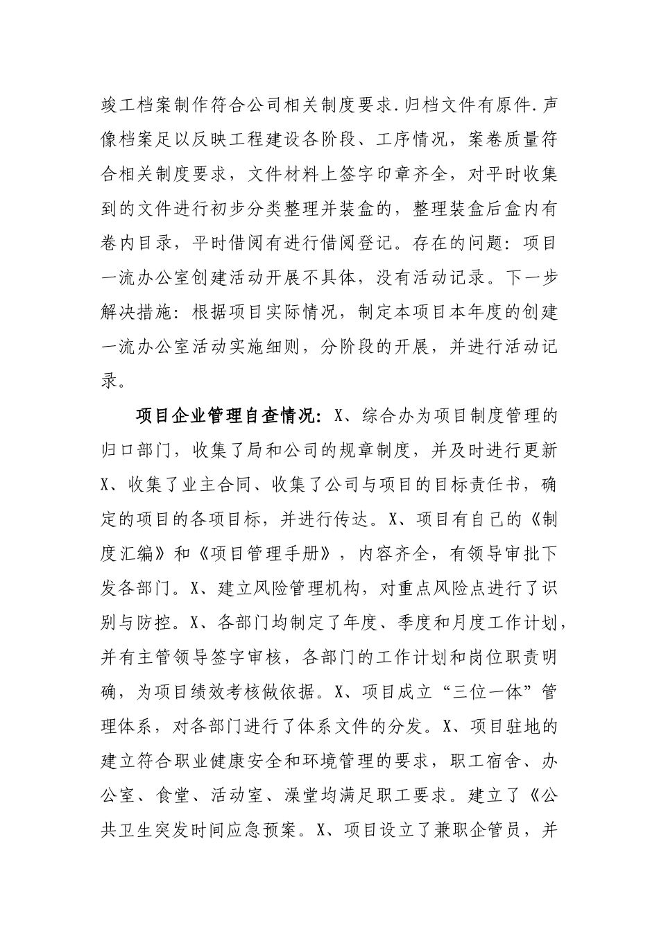 项目办公室工作自查自纠汇报.docx_第2页