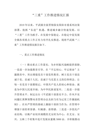 “三重”工作推进情况汇报.docx