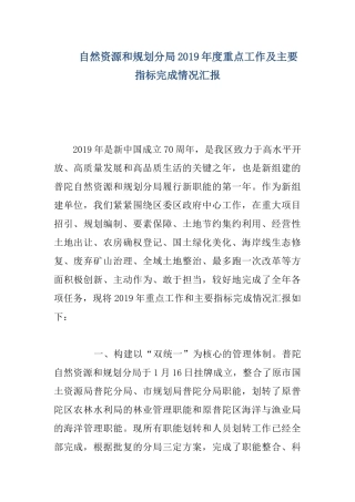 自然资源和规划分局2019年度重点工作及主要指标完成情况汇报.docx
