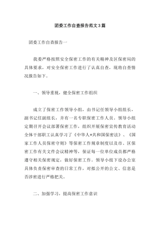 团委工作自查报告范文3篇.docx