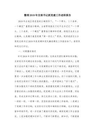 整理2019年支部书记抓党建工作述职报告.docx