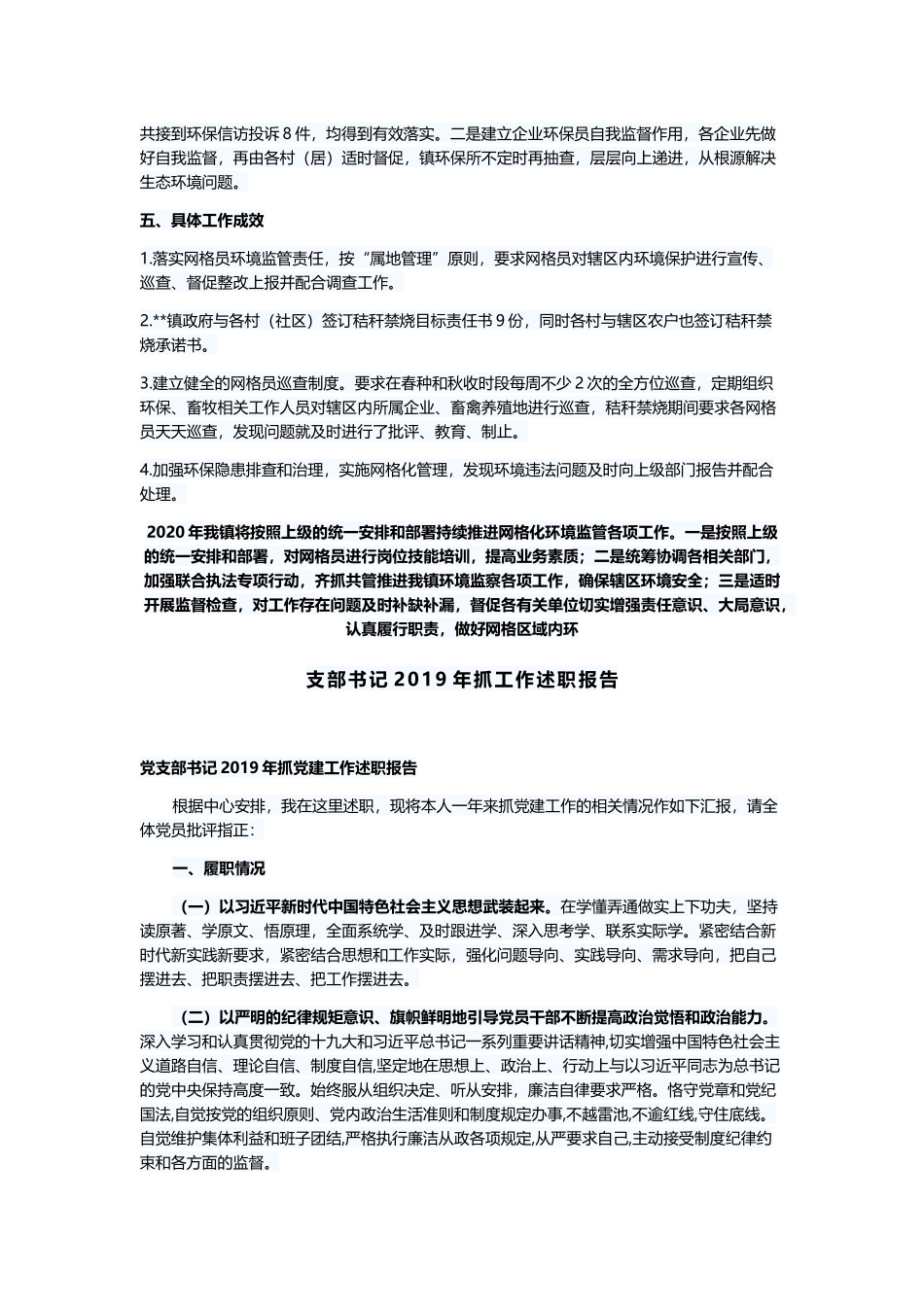 网格化环境监管工作总结及2020年年初工作计划与支部书记2019年抓工作述职报告.docx_第2页