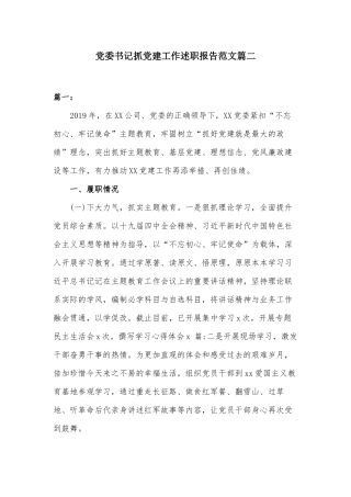 党委书记抓党建工作述职报告范文篇二.docx
