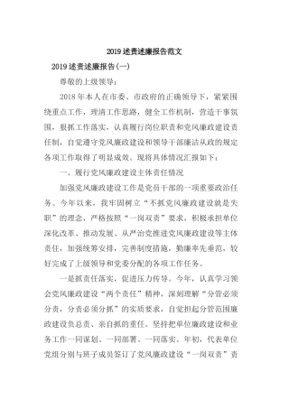 2019述责述廉报告范文.docx