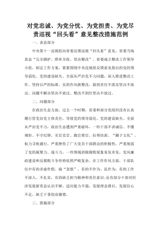 对党忠诚、为党分忧、为党担责、为党尽责巡视“回头看”意见整改措施范例.docx