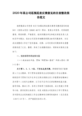 2020年某公司巡视巡查反馈意见的自查整改报告范文.docx
