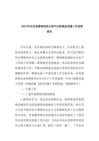 2019年区应急管理局党支部书记抓基层党建工作述职报告.docx