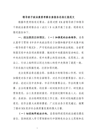 领导班子政治素质考察自查报告总结汇报范文.docx