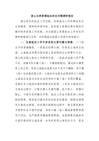 国土自然资源执法存在问题调研报告.docx