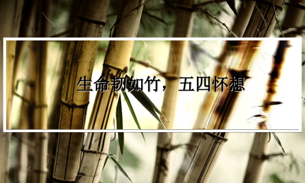 五四青年节之《五四运动课件主题班会课》.ppt