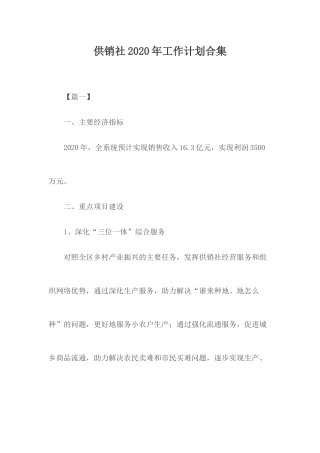 供销社2020年工作计划合集.docx