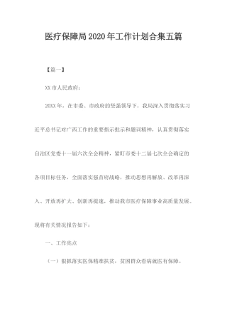 医疗保障局2020年工作计划合集五篇.docx