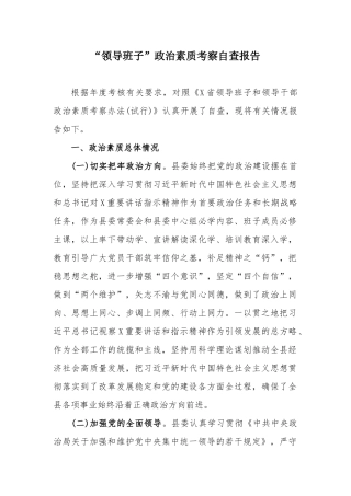 “领导班子”政治素质考察自查报告.docx
