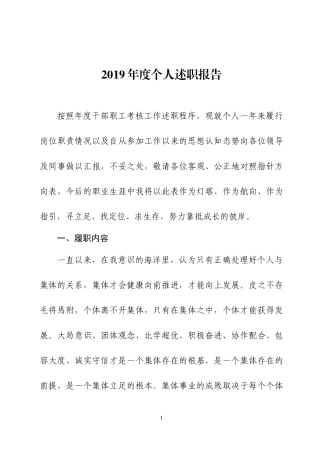 2019年度个人述职报告.docx