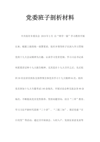 党委班子剖析材料.docx