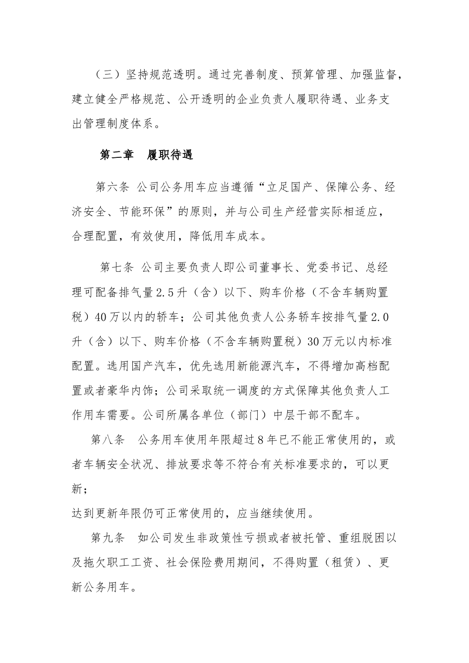 某某股份有限公司负责人履职待遇及业务支出管理规定.docx_第3页
