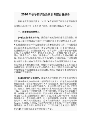 2020年领导班子政治素质考察自查报告.doc