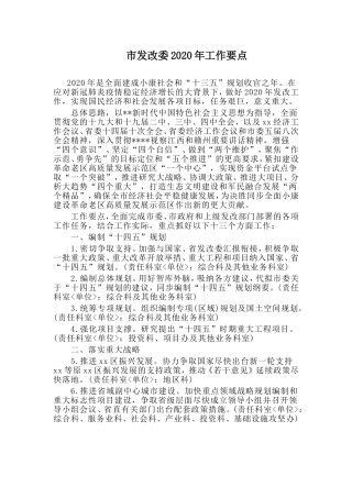 市发改委202×年工作要点.doc