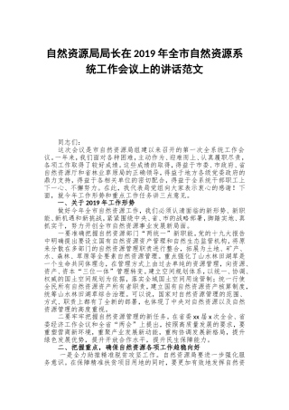 自然资源局局长在2019年全市自然资源系统工作会议上的讲话范文.doc