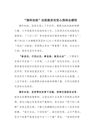 “慎终如始”决胜脱贫攻坚心得体会感悟.docx