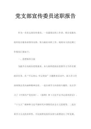 党支部宣传委员述职报告.docx