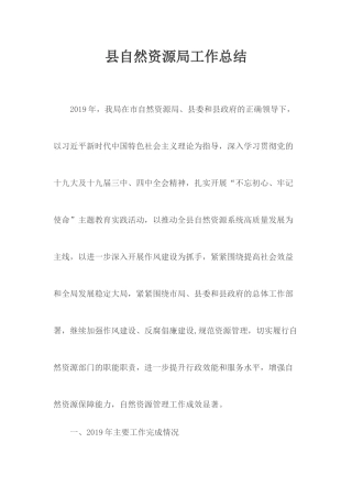 县自然资源局工作总结.docx