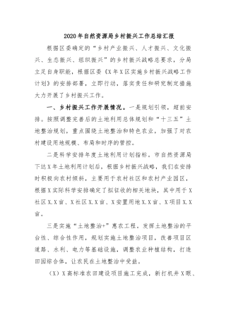 2020年自然资源局乡村振兴工作总结汇报.docx