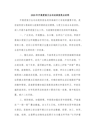 2020年开展爱国卫生运动典型亮点材料.docx