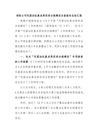 保险公司巩固治乱象成果促进合规建设自查报告总结汇报.docx