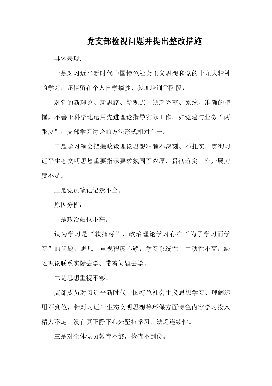 党支部检视问题并提出整改措施.docx_第1页