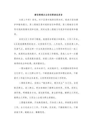 新任街道办主任任职表态发言.docx