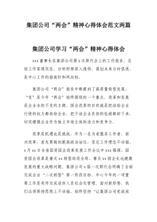 集团公司“两会”精神心得体会范文两篇.docx