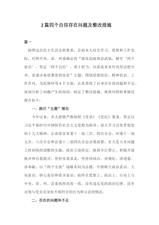 2篇四个自信存在问题及整改措施.docx