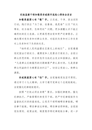 纪检监察干部知敬畏存戒惧守底线心得体会发言.docx