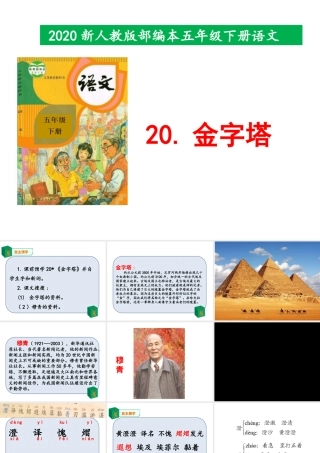 2020新人教版部编本五年级下册20《金字塔》 课件.pptx