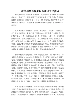 2020年的基层党组织建设工作亮点.doc